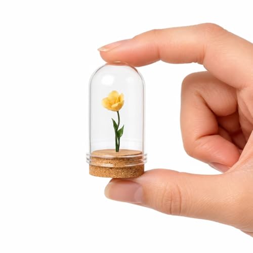 Miniature Rose in Glass Dome with Wood Base, Orange Rose Figurine, Dollhouse Decor Accessory, DIY Decorative Display (Orange) - color: Orange
