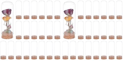 BENECREAT 20Pcs Dome Decorative Jars, 1.2x3.4inch Glass Display Dome Cloche Glass Bell Jar with Cork Base for Flower Storage, Specimens, Crafts Decorations (Pack of 2) - size: 1.2 x 3.4 inch (20 Pcs, Pack of 2)