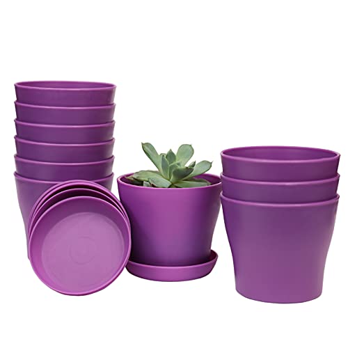 TDHDIKE 10 Pcs Plastic Planters Indoor Flower Plant Pots (Purple) | Mini Seedlings Nursery Pot with Pallet, Modern Decorative Gardening Containers - color: Purple