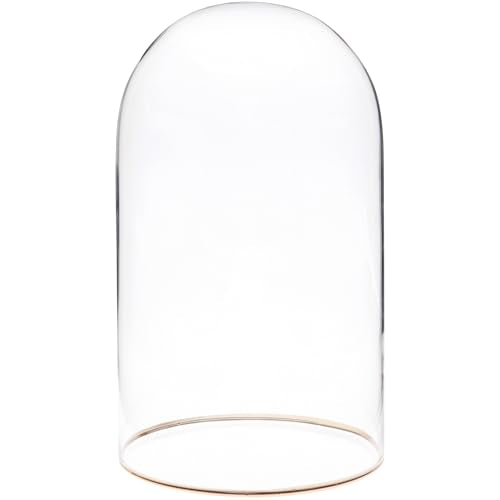 Plymor 4" x 7" Glass Display Dome Cloche with Gold Rim (no Base) - size: 4" x 7"
