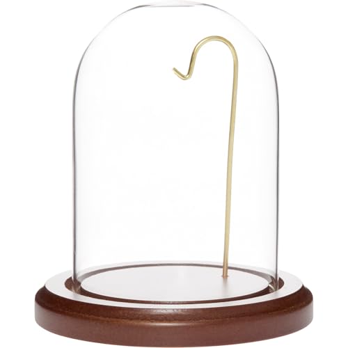 Plymor 3" x 4" Watch Glass Display Dome Cloche - color: Dark Wood Base