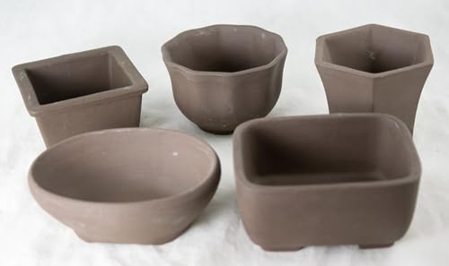 5 Assorted Japanese Yokkaichi Shito Mame Shohin Bonsai Pots, Cactus & Succulent, Accent Plant Planter - Clay Unglazed (UD1503-3)