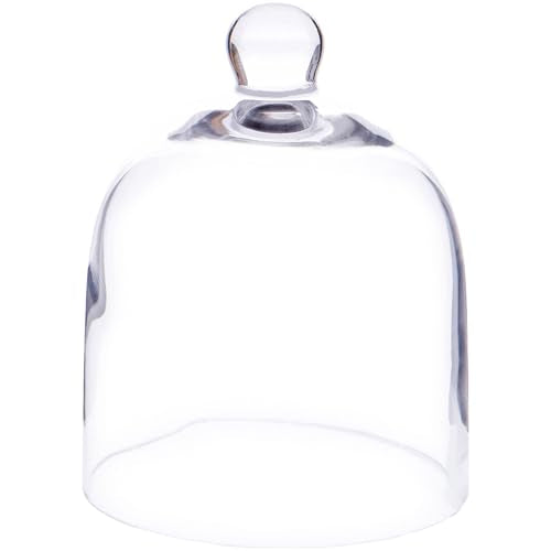 Plymor 5" x 6" Bell Jar Glass Display Dome Cloche (Interior Size 4.75" x 4.5") - size: 5" x 6"