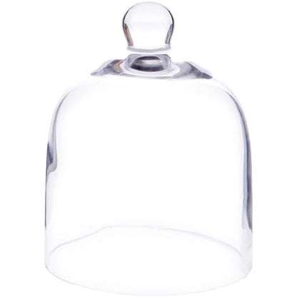Plymor 5" x 6" Bell Jar Glass Display Dome Cloche (Interior Size 4.75" x 4.5") - size: 5" x 6"