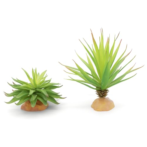 JIHAQUA Reptile Terrarium Decor 2-Piece Realistic Succulent Set - color: Green