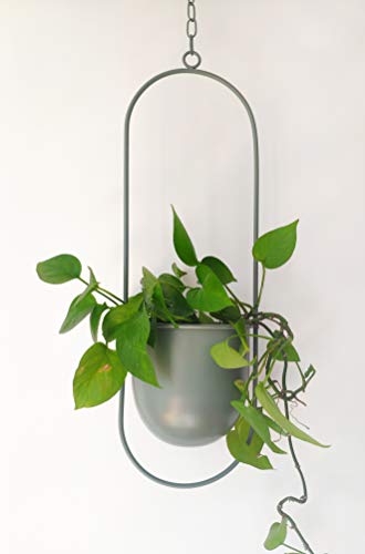 RISEON Boho Green Metal Plant Hanger,Metal Wall and Ceiling Hanging Planter, Modern Planter, Mid Century Flower Pot Plant Holder, Minimalist Planter for Indoor Outdoor Home Decor - color: Green