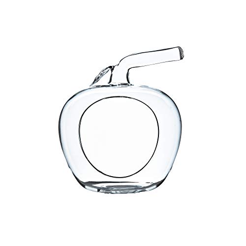 WGV Planter Terrarium, Width 5.5", Height 6.5", Clear Unique Apple Glass Vase Conatiner, DIY Planter Votive Candle Holder for Home Office Garden Decor, 1 Piece - size: 5.5" Apple