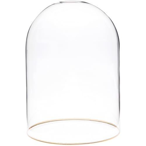 Plymor 5.5" x 8" Glass Display Dome Cloche with Gold Rim (no Base) - size: 5.5" x 8"