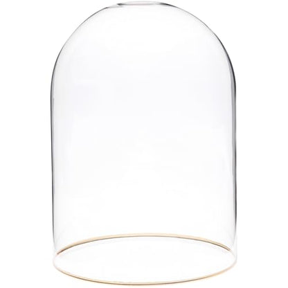 Plymor 5.5" x 8" Glass Display Dome Cloche with Gold Rim (no Base) - size: 5.5" x 8"
