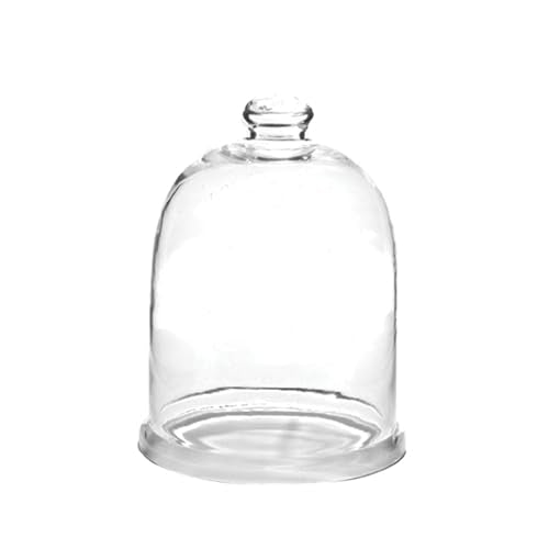 Park Designs Glass Bell Cloche 9.5", Clear - size: 9.5"H x 7"Dia