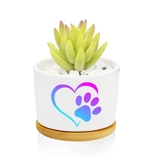 1Pcs Dog Claw Succulent Pots with Drainage and Bamboo Tray, Ceramic Pot - style: Love Dog Claw