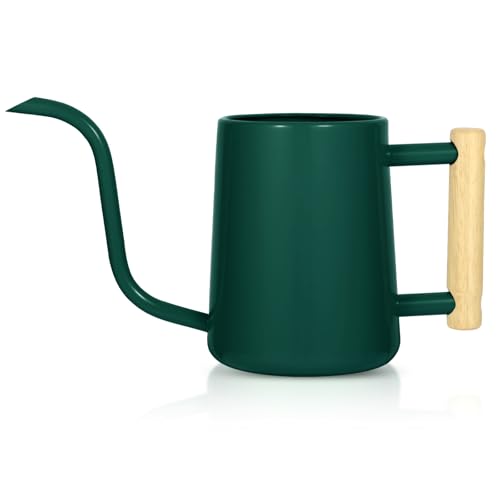 Watering Can Indoor Plants, 35 oz/1000 ml Metal Stainless Steel Watering Can Pot with Long Spout for Indoor House Plants Bonsai Outdoor Garden Flower Decorative (Alpinegreen) - color: Alpinegreen