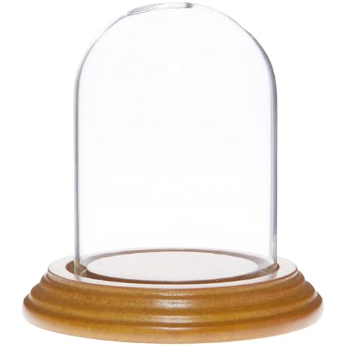 Plymor 2.5" x 3.5" Small Glass Display Dome Cloche (Oak Veneer Base) - color: Oak Veneer Base