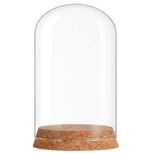 Wide Mouth Glass Dome Bell Jar with Cork Base (3.94x5.91inch) - size: 3.94x5.91inch