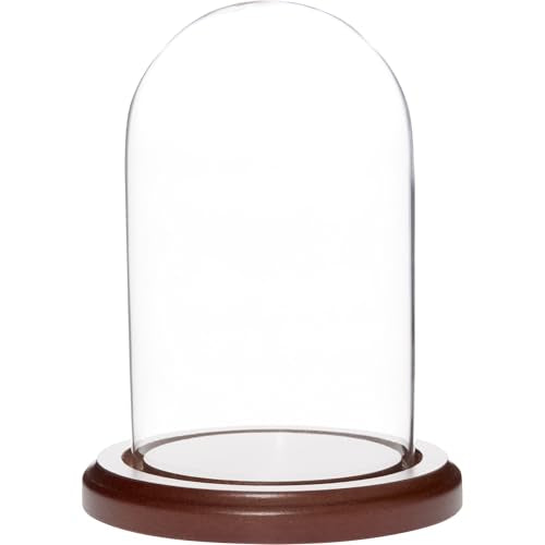 Plymor 3 inch x 5 inch Glass Display Dome Cloche (Dark Wood Base) - color: Dark Wood Base