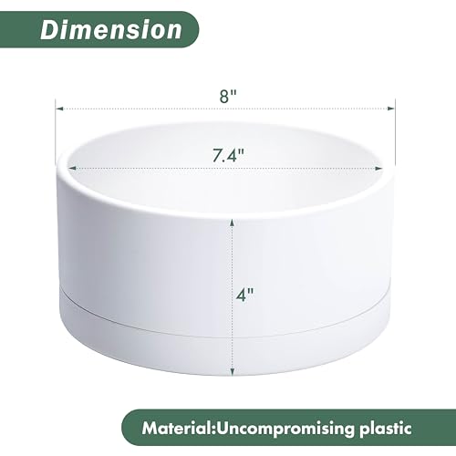 D'vine Dev 8 in Shallow Round Succulent Planter, White, 76-Z-A-1 | Wide Bowl Design, Thick-Walled Durable Construction, Enhanced Drainage, Detachable Saucer, Ideal for Succulent Arrangements - color: White, size: 8 Inch