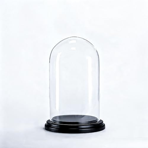 CYS EXCEL Glass Dome Cloche (H:9.25" D:5.5”) with Black Wood Base Decorative Showcase Display for Antique Collectible Bell Jar Terrarium Dessert Cover - color: Black, size: H-9.25" D-5.5"