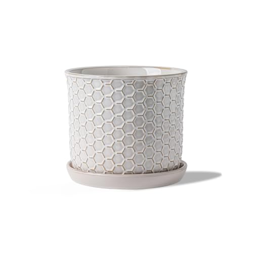 5.8 Inch Ceramic Plant Pot with Drainage Hole & Separate Saucer | Indoor/Outdoor Planter with Tray - Honeycomb Embosse Flowerpot for Home & Office - Cream White - color: Honeycomb Embossed, size: 6 inch