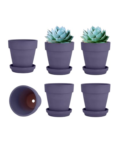 vensovo 4 Inch Purple Terracotta & Clay Pots with Saucer, 6 Pack - color: Purple
