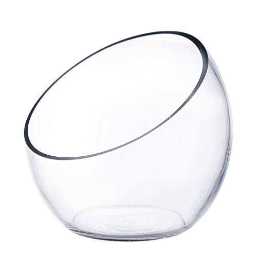 CYS EXCEL Glass Slant Cut Bubble Bowl (H-8" W-9") Clear Flower Vase Globe Bowl Terrarium Round Planter Decorative Centerpiece