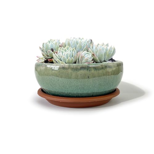 7 Inch Glazed Terracotta Plant Pot Round Ceramic Succulent Planter Pot with Drainage and Mesh Pad Cactus Clay Bonsai Pot (Green) - color: Green, size: 7 Inch