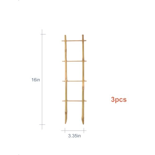COLOtime 3Pack Bamboo Trellis 16 Inch Ladder Shaped Small Plant Trellis for Indoor Potted Plants Climbing Monstera Orchid Vine Hoya Houseplant - size: Ladder shaped, 3 Pack
