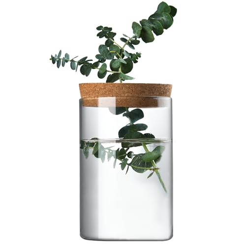 Clear Glass Planter Vase with Wooden Lid and Bamboo Stand for Hydroponic Plants, Succulents, Cut Flowers Gifts for Women Mom Plant Lovers (1, 2.55 * 3.93inch)