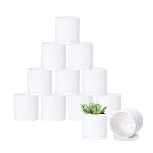 D'vine Dev 12-Pack Mini White Plastic Planters with Saucers, 3 in, 74-Z-C-4 | Lightweight Durable Build, Matte Finish, Cylindrical Shape, Efficient Drainage, Detachable Saucer, Minimalist Modern Style - size: 3"
