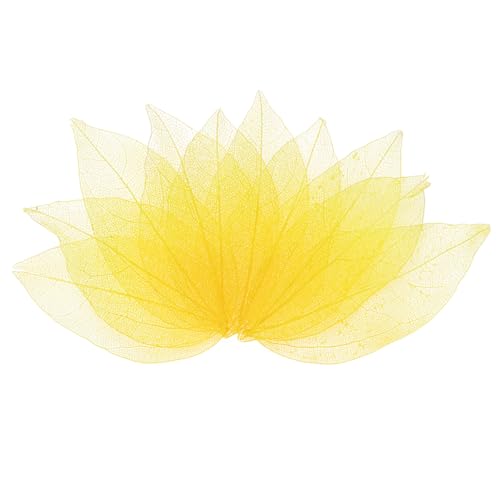 M METERXITY 100-Pack Skeleton Leaves, Natural Rubber Tree Dried Pressed Leaves Vein for Resin/DIY Crafts Card/Scrapbook/Wedding, Small Leaves Decorative [4-6cm, Dark and Light Yellow] - color: Dark and Light Yellow