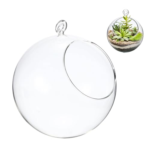M METERXITY 1-Pack Clear Glass Air Plant Terrarium, 3.4 Inch Angled with Handle Plant Display Glass for Windowsill/Outdoor Garden/Home Decor, Flat Bottom Globe Bowl Terrarium [Transparent] - size: 3.4 Inch