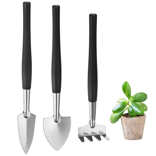 M METERXITY 2-Set Mini Gardening Tools, Stainless Steel Miniature Gardening Rake, Trowel, and Shovel for Seedlings/Bonsai/Succulents/Herbs/Terrariums and Planting [Black] - color: Black