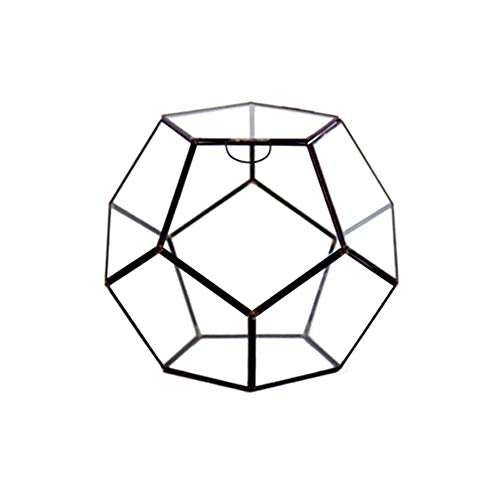 WGV Geometric Planter Terrarium, Width 8.7" Height 7.5" Clear Glass Black Frame DIY Succulent air Plant Miniature Fairy Garden Windowsill Tabletop Decor, Globe Geode 1 Piece - color: Black, size: Geode Medium