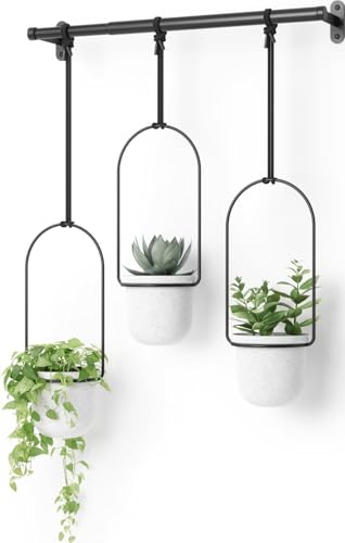 Umbra Triflora Hanging Planter, Indoor Herb Garden, Set of 3, White/Black - color: White/Black, size: Set of 3, style: Set of 3