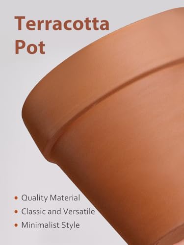 INGOFIN Terracotta Pot with Saucer - 10 Inch Ceramic Clay Pot for Plants with Drainage Hole, Large Terra Cotta Flower Planter with Tray for Indoor Outdoor Plants - size: 10 inch