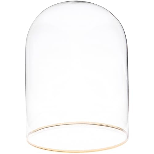 Plymor 4" x 5.5" Glass Display Dome Cloche with Gold Rim (no Base) - size: 4" x 5.5"