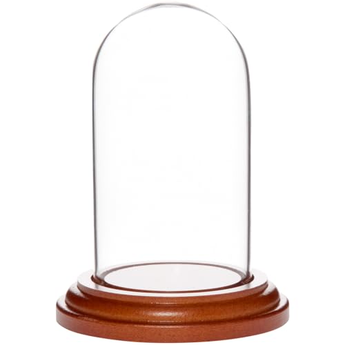 Plymor 1.85" x 3.5" Mini Glass Display Dome Cloche (Walnut MDF Base) - color: Walnut Mdf Base