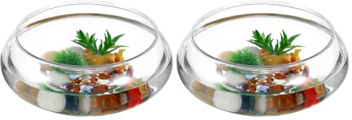 GANAZONO Clear Fish Bowl Vase Bubble Round Planter Terrarium Fish Bowl Aquatic Plant Pot Daffodil Pot Hydroponic Planter Tank Aquarium (Pack of 2) - size: 24.2x24.2cm (Pack of 2)