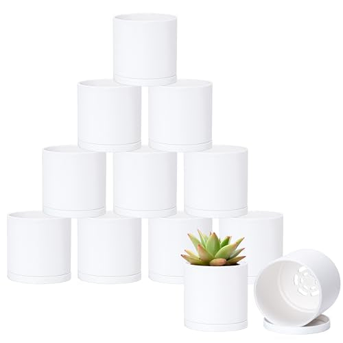 D'vine Dev 12-Pack White Plastic Planters with Saucers, 3.5 in, 74-Z-D-4 | Lightweight Durable Build, Matte Finish, Cylindrical Shape, Efficient Drainage, Detachable Saucer, Minimalist Modern Style - size: 3.5"