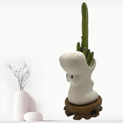 Cute Succulent Pots,White Ceramic Indoor Planters with Drainage and Wood Tray,Round Shallow Flower Plant Pots Decoration Hippo - style: Hippo