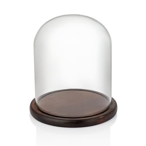 Glass Cloche Bell Jar Display Dome with Brown Wooden Base, 6x7 Inch Clear Glass Display Case with Wood Stand for Home Decor, Plants, Succulents, Collectibles, Preserved Flowers, Centerpieces