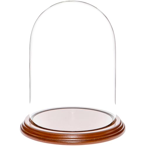 Plymor 5.5" x 8" Glass Display Dome Cloche (Walnut Veneer Base) - color: Walnut Veneer Base