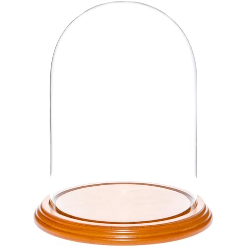 Plymor 5.5" x 8" Glass Display Dome Cloche (Oak Veneer Base) - color: Oak Veneer Base