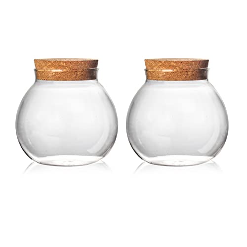 Set of 2 round glass jars with cork lid – 17oz wedding candy jar kitchen Storage jar, perfect for tea, biscuits, cereals, flour, beans, spices, coffee beans etc (2PCS) - color: 2PCS