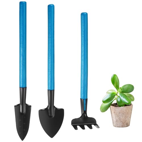 M METERXITY 1-Set Mini Gardening Tools, Stainless Steel Miniature Gardening Rake, Trowel, and Shovel for Seedlings/Bonsai/Succulents/Herbs/Terrariums and Planting, Mini Shovel [Blue] - color: Blue