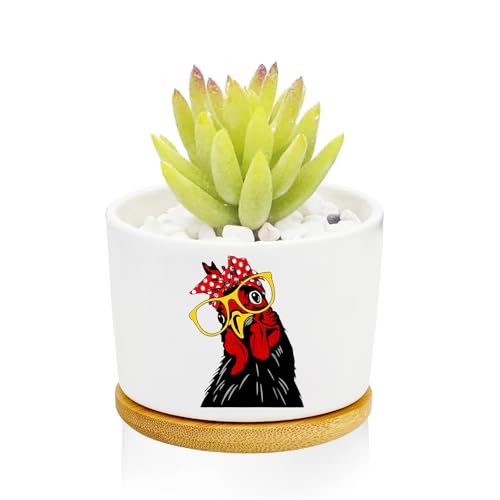 1Pcs Rooster Succulent Pots with Drainage and Bamboo Tray, Ceramic Pot - style: Rooster