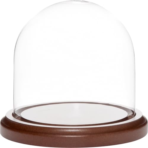 Plymor 4 inch x 4 inch Glass Display Dome Cloche (Dark Wood Base) - color: Dark Wood Base