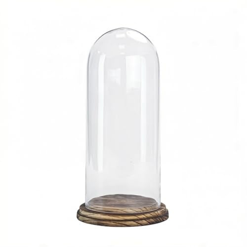 CYS EXCEL Glass Dome Cloche (H:13.75" D:5.5”) with Lightly Charred Wood Base Decorative Showcase Display for Antique Collectibles Bell Jar Terrarium & Dessert Cover - color: Lightly Charred, size: H-13.75" D-5.5"