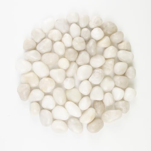 River Rocks - Natural Polished White Pebbles, 0.5-1 inch, 40 lbs - Perfect for Indoor Planting, Vase Filling, Aquarium Decoration, and Garden Landscaping (White, Weight: 40 LB) - color: White, size: Weight: 40 LB