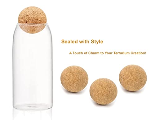 Glass Terrarium with Airtight Wood Lid (Ball Cork) | Closed Terrarium Planter | Clear Glass Bottle Jar Container | Set of 3 | Moss Terrarium Jar (3 Set of Jars) - size: 3 Set of Jars