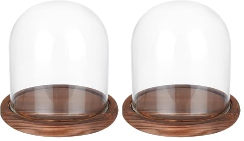 BENECREAT 5.5x5inch Eternal Transparent Flower Glass Cover, Cloche Dome Micro Landscape with Solid Wood Base for DIY Flower Craft, Wedding Decorations (Pack of 2) - color: Burly Wood, size: 5.5x5inch (Pack of 2)